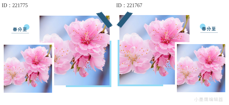 14个春分燕子剪影边框素材 | 文艺风排版必备