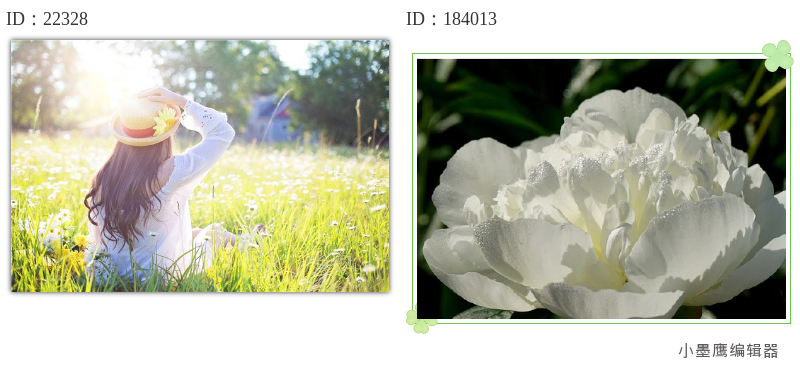 公众号素材网站测评