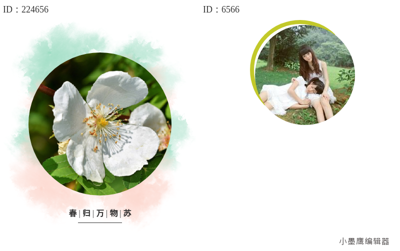  12个公众号圆形图片裁切，柔和风格头像排版首选