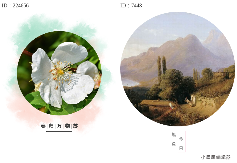 16组公众号圆形头像微信公众号素材编辑 | 品牌识别度提升必备