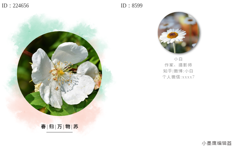  12组公众号圆形包络编号样式，温暖风格亲和情感号