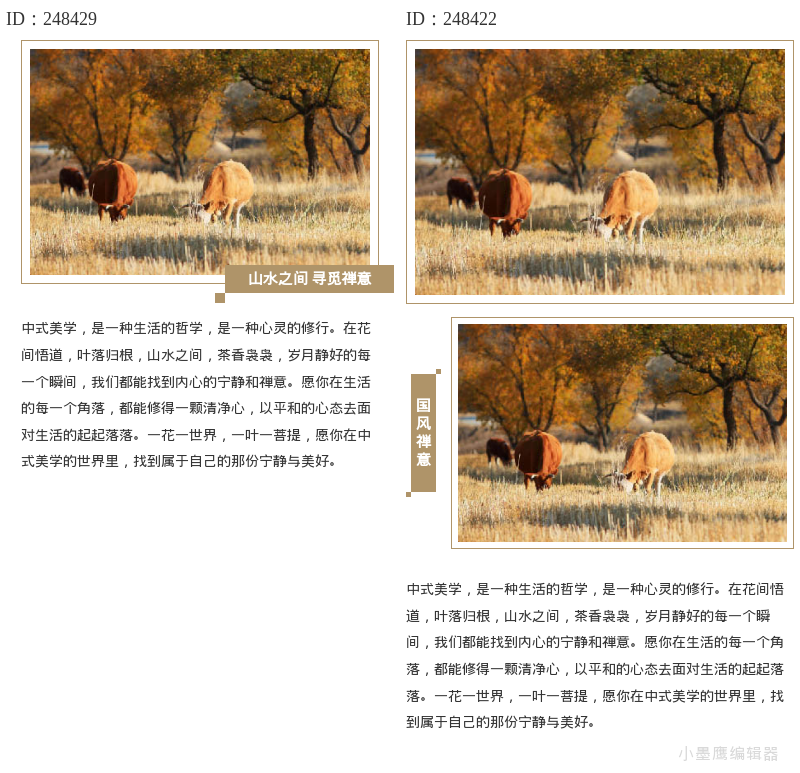  国潮崛起！18款新中式纹理与图片排版素材合集