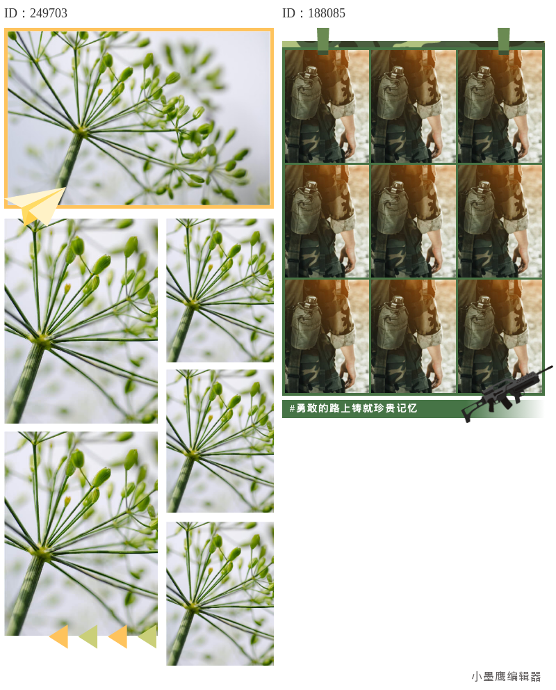 公众号排版设计