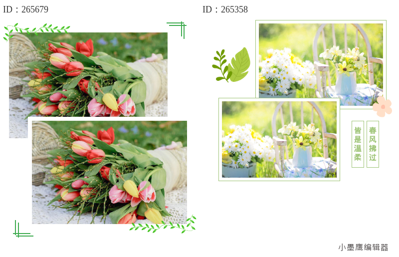 16款公众号踏青边框样式合集｜免费下载+排版神器