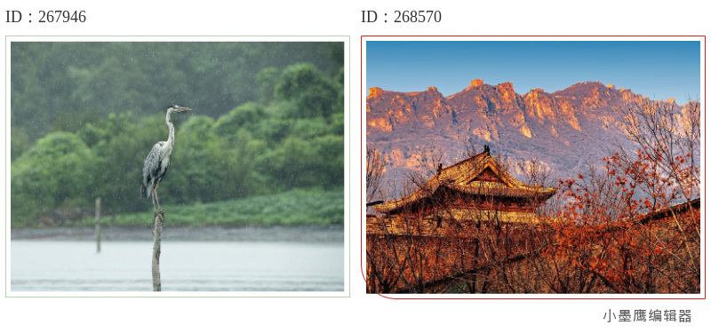  12个公众号简约图片边框，极简风格留白多不拥挤