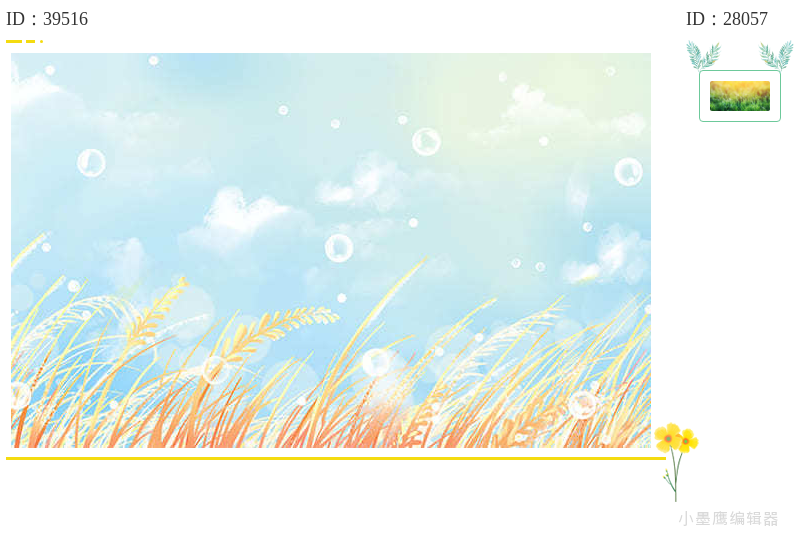 16组植物花卉装饰边框 | 小清新设计素材免费下载