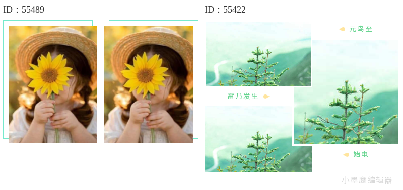  这十二组低饱和度绿色系公众号图片素材治愈感满分