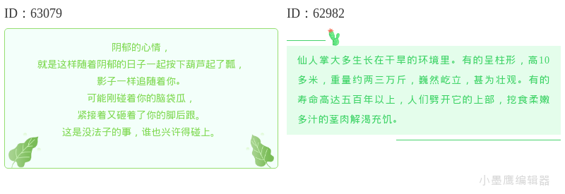 18组春天氛围边框素材免费下载｜排版秒变精致｜设计必备