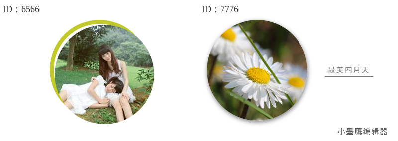  12个公众号圆形图片样式，相框风格照片墙效果推荐