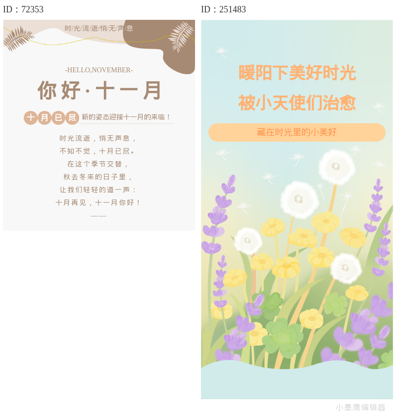  文艺排版必备：14款手绘植物角标与底纹，温柔治愈不抢戏  