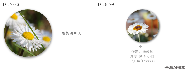  14个公众号圆形图片素材，柔和风格头像裁切首选  