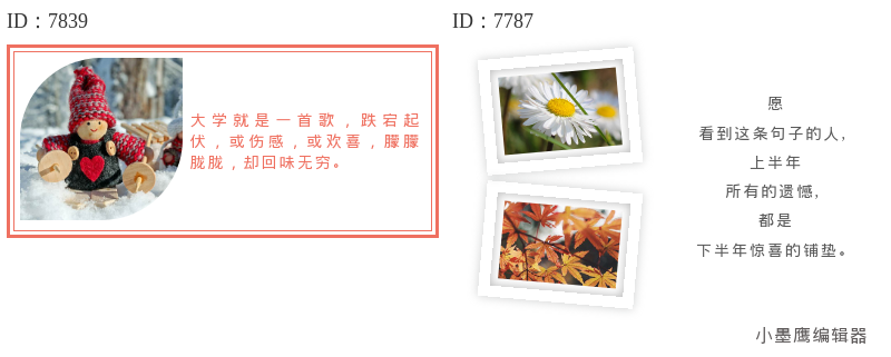  12组公众号左右文图文艺风图片分享