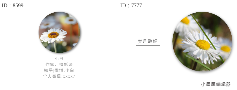  14款圆形图片公众号素材内容，柔和风格头像推荐，适合作者栏设计！