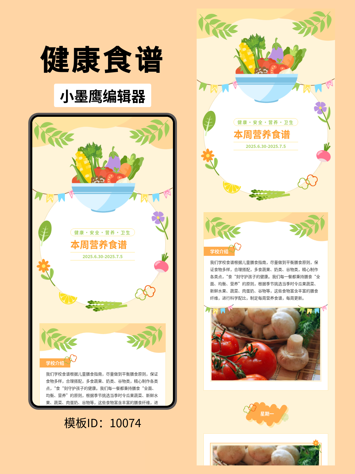 公众号排版模板