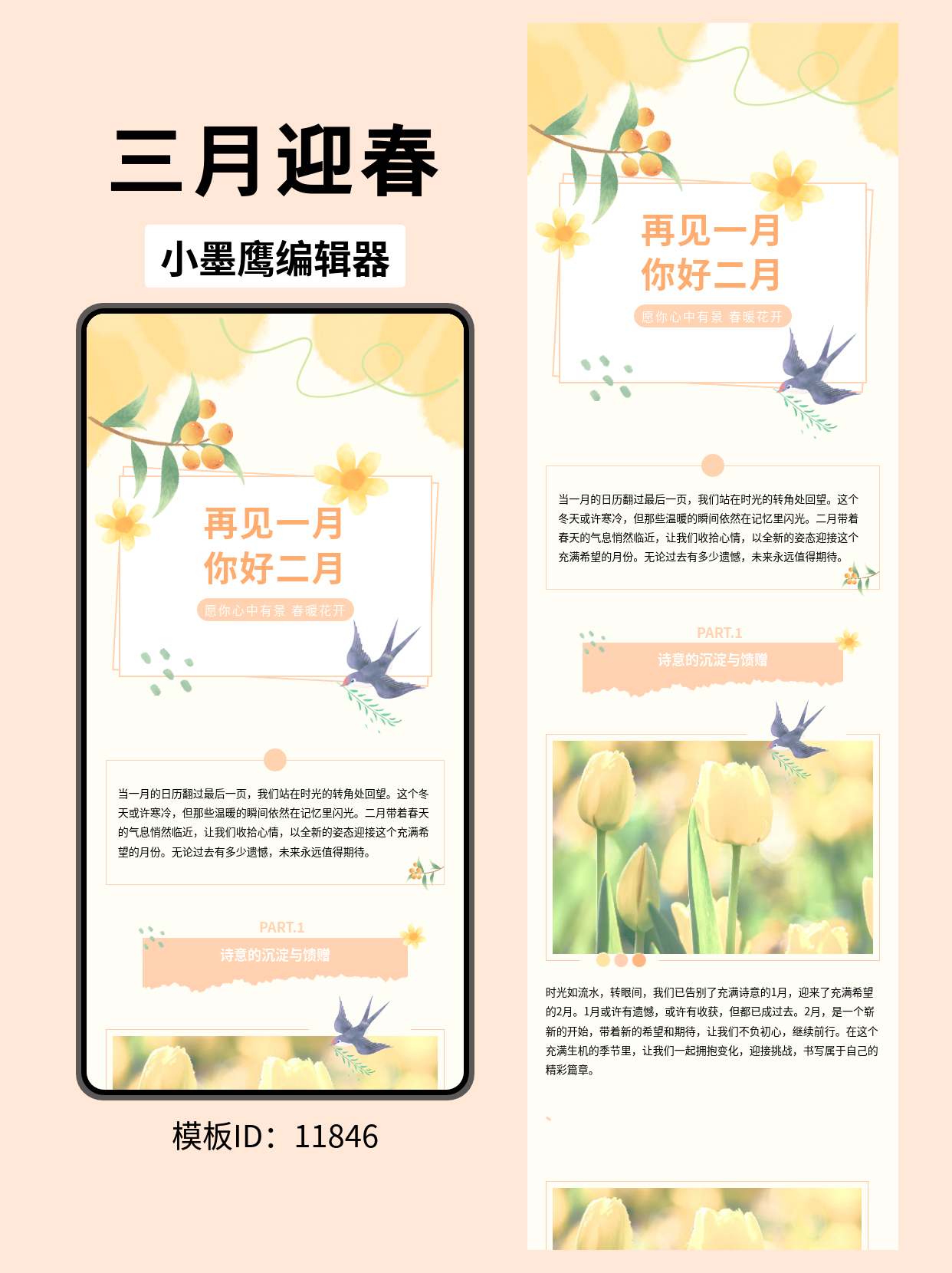 温馨优雅的二月主题公众号排版模板推荐