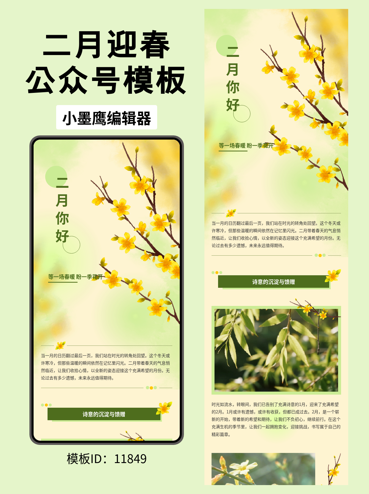  文艺风公众号排版模板推荐：你好，二月！  