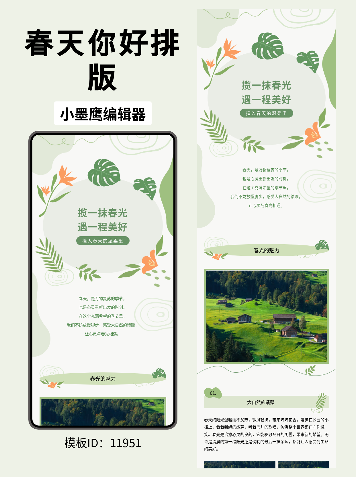  春日清新风公众号排版模板分享：揽一抹春光遇一程美好