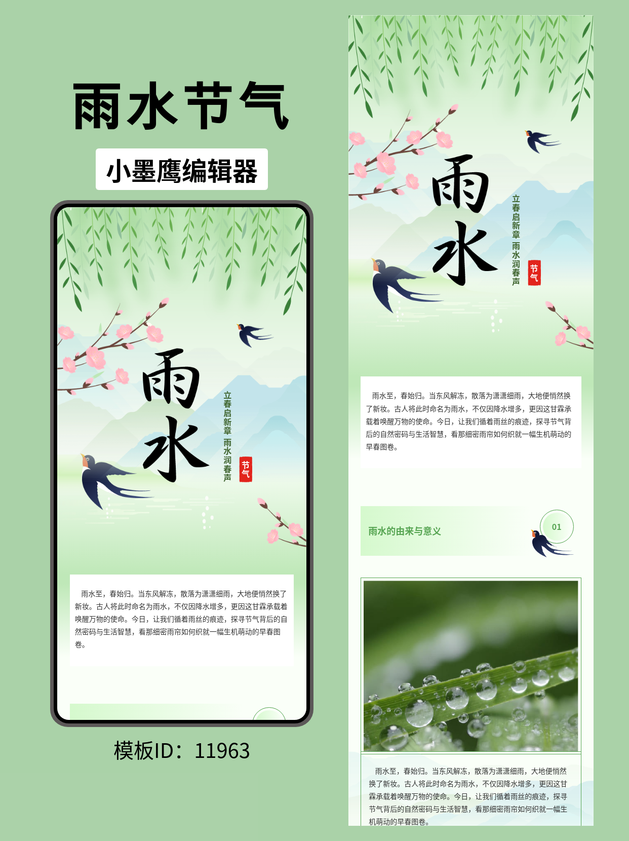  文艺风雨水节气公众号排版模板分享