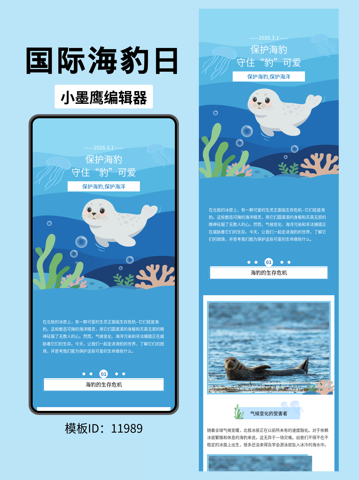  国际海豹日公众号排版模板分享：保护海洋生态的视觉盛宴