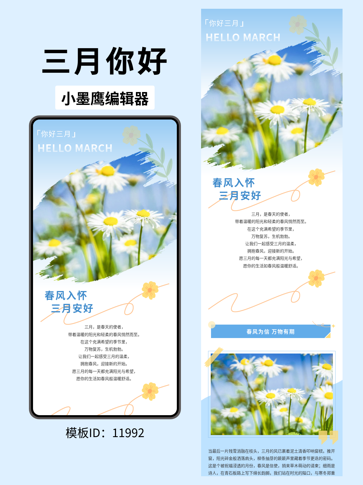  三月公众号排版必备模板：简约风搭配花朵线条，让文章更具吸引力