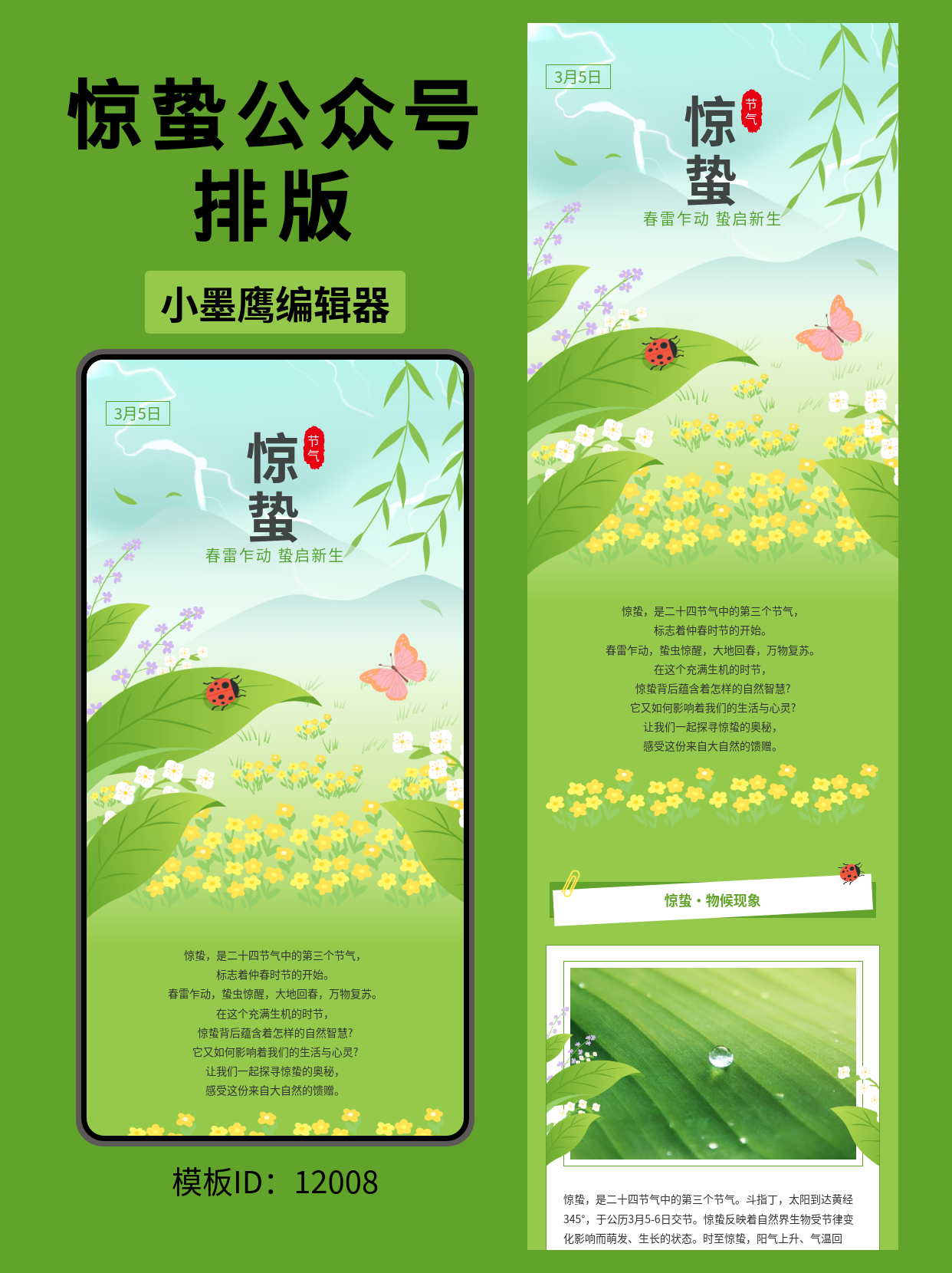  公众号排版怎么做？新手做推文要注意哪些才有流量？（保姆级教程）