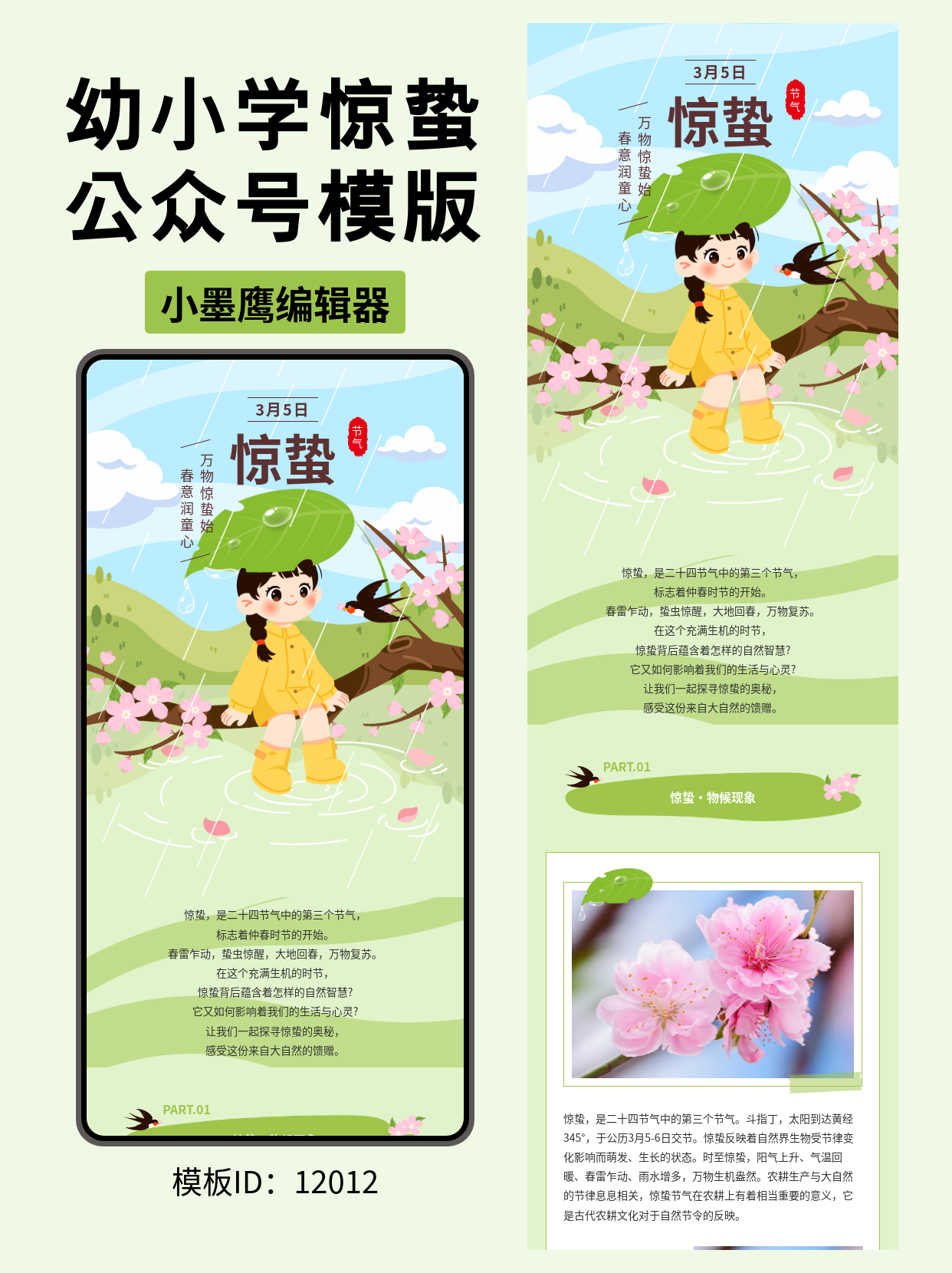  惊蛰 | 桃花枝头的新生之美  