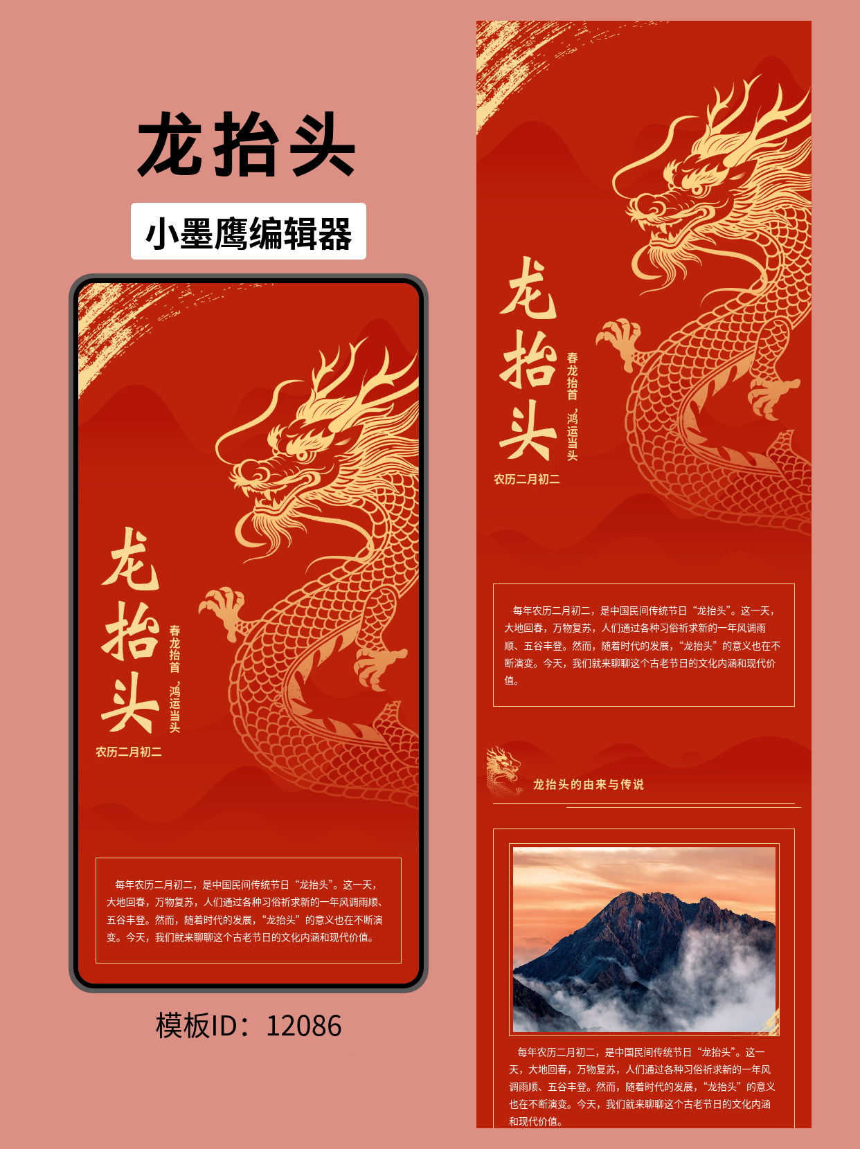 春龙抬首 鸿运当头 | 龙年节日公众号排版模板分享