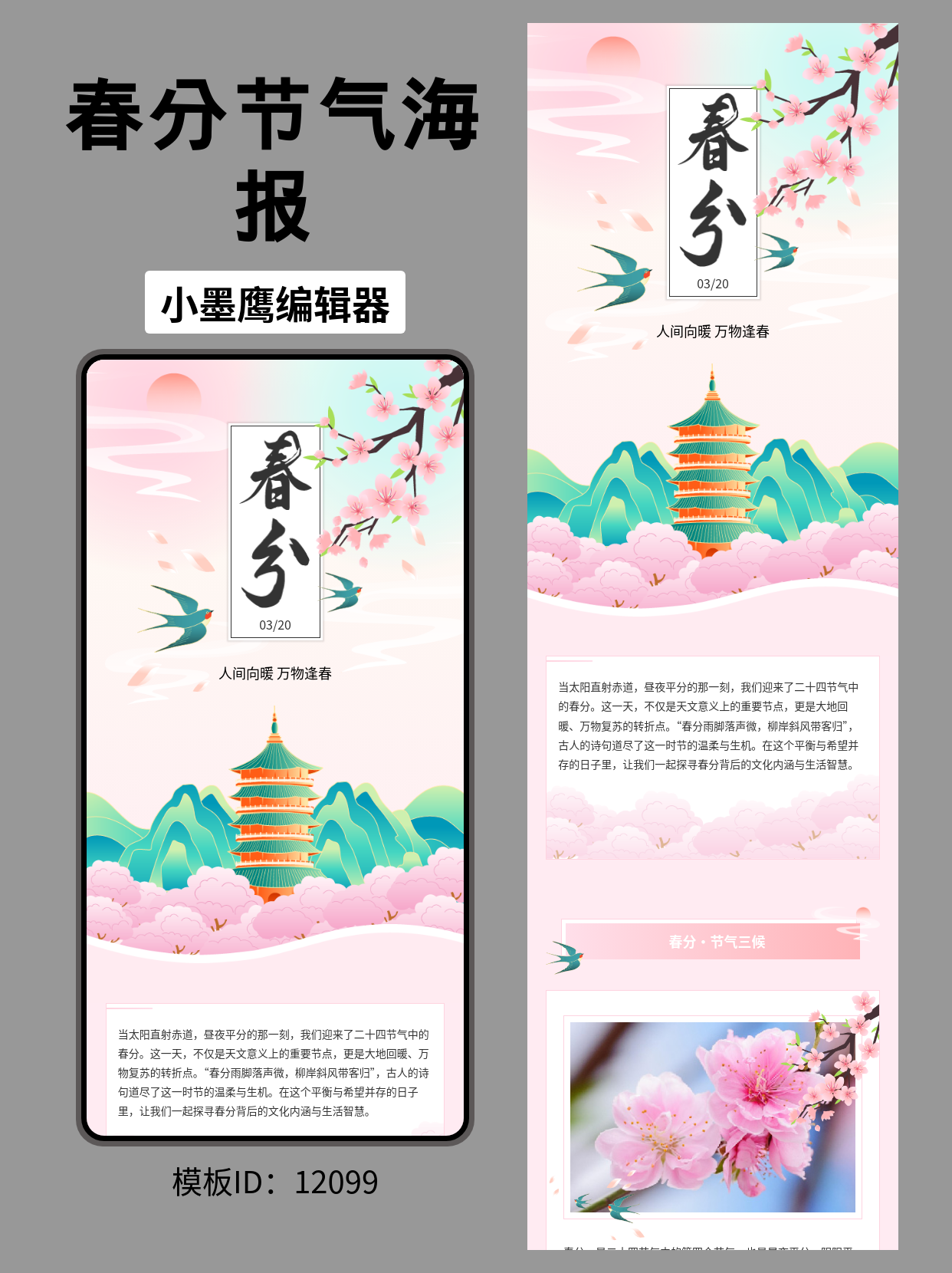 春分节气公众号排版模板：古风渐变色设计一键套用指南