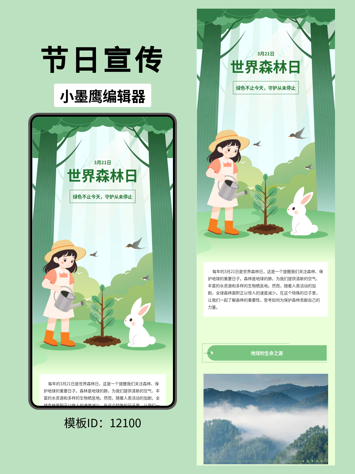 文艺风格公众号排版模板推荐：世界森林日主题设计指南