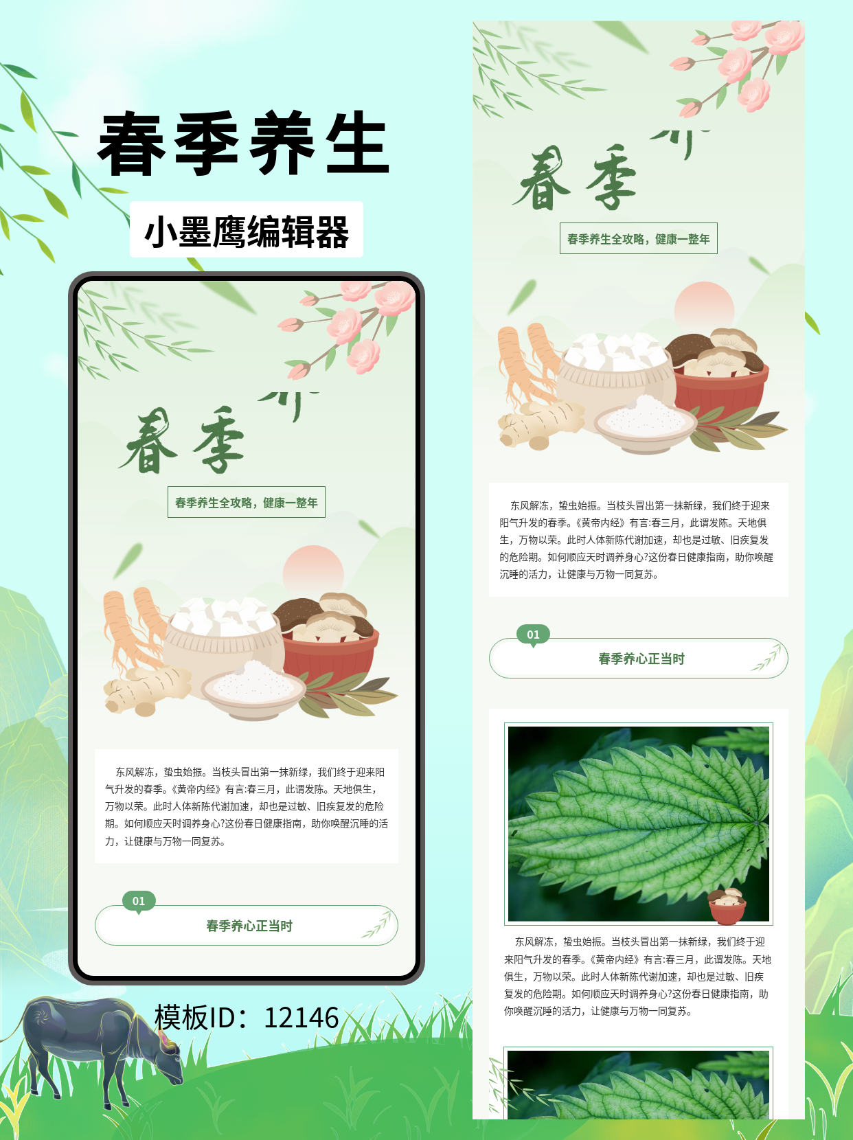 文艺风格春季养生排版模板推荐