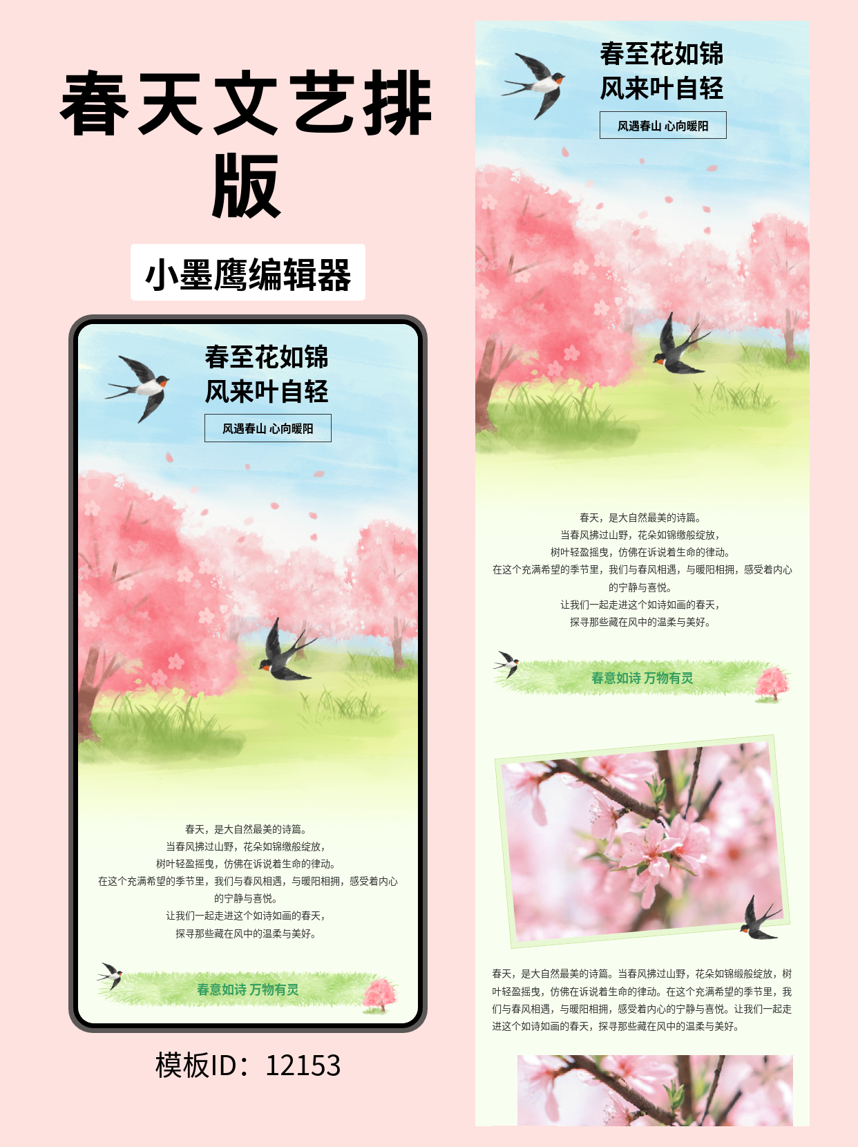 春日文艺风公众号排版模板分享：打造清新唯美的视觉盛宴