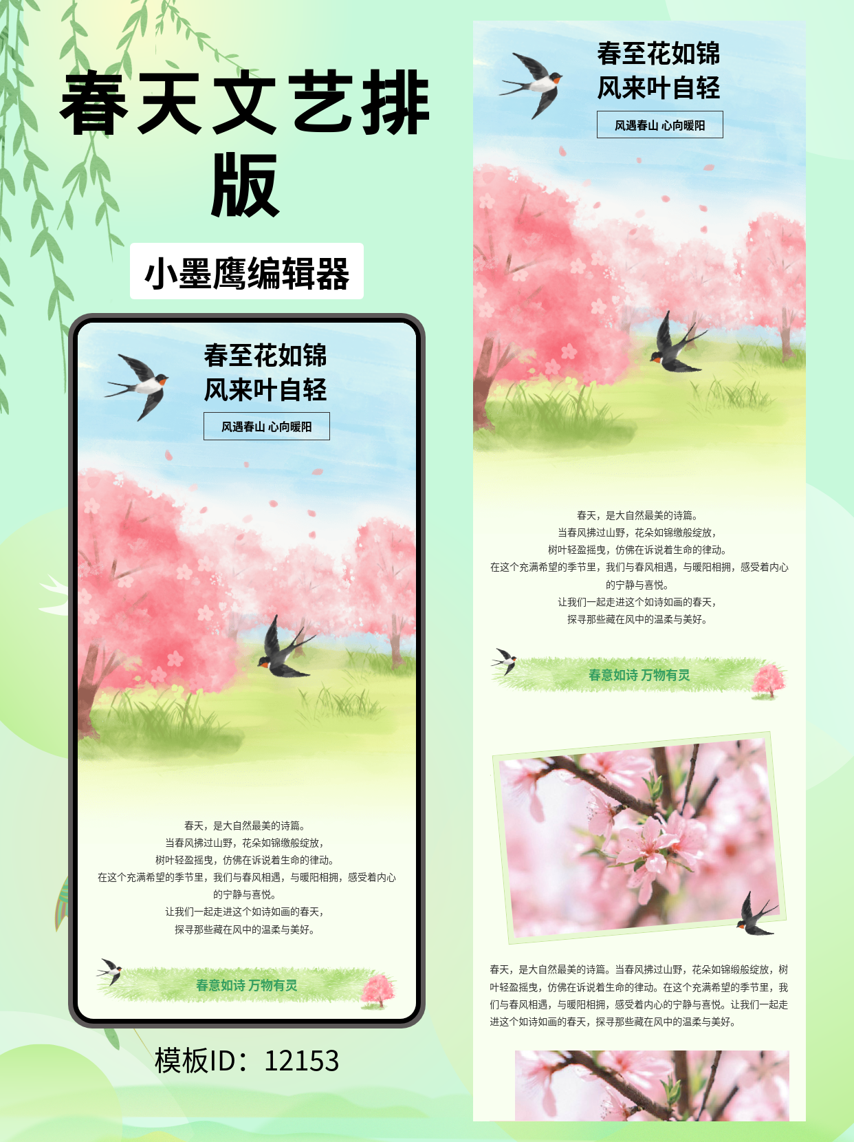 关于春天主题公众号排版，这些模板帮你轻松搞定！