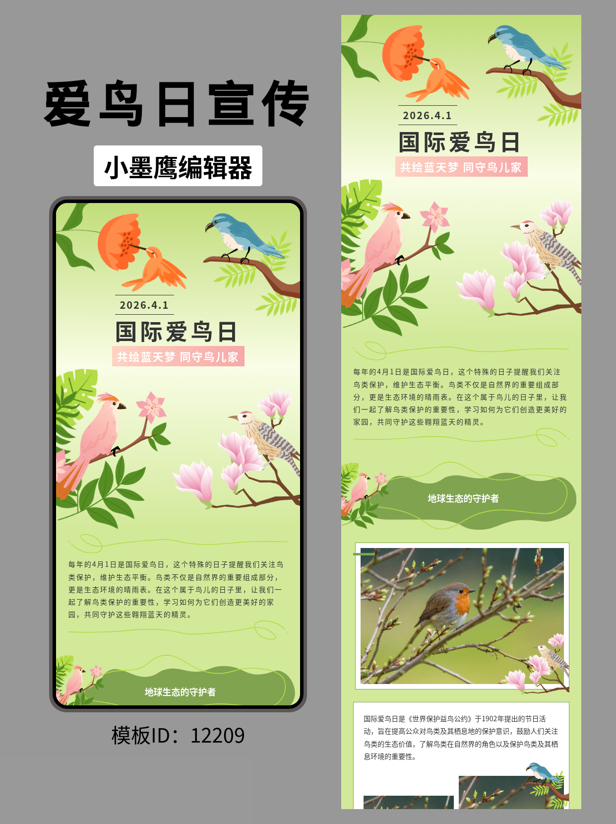 一键套用文艺风模板，轻松打造国际爱鸟日完美推文