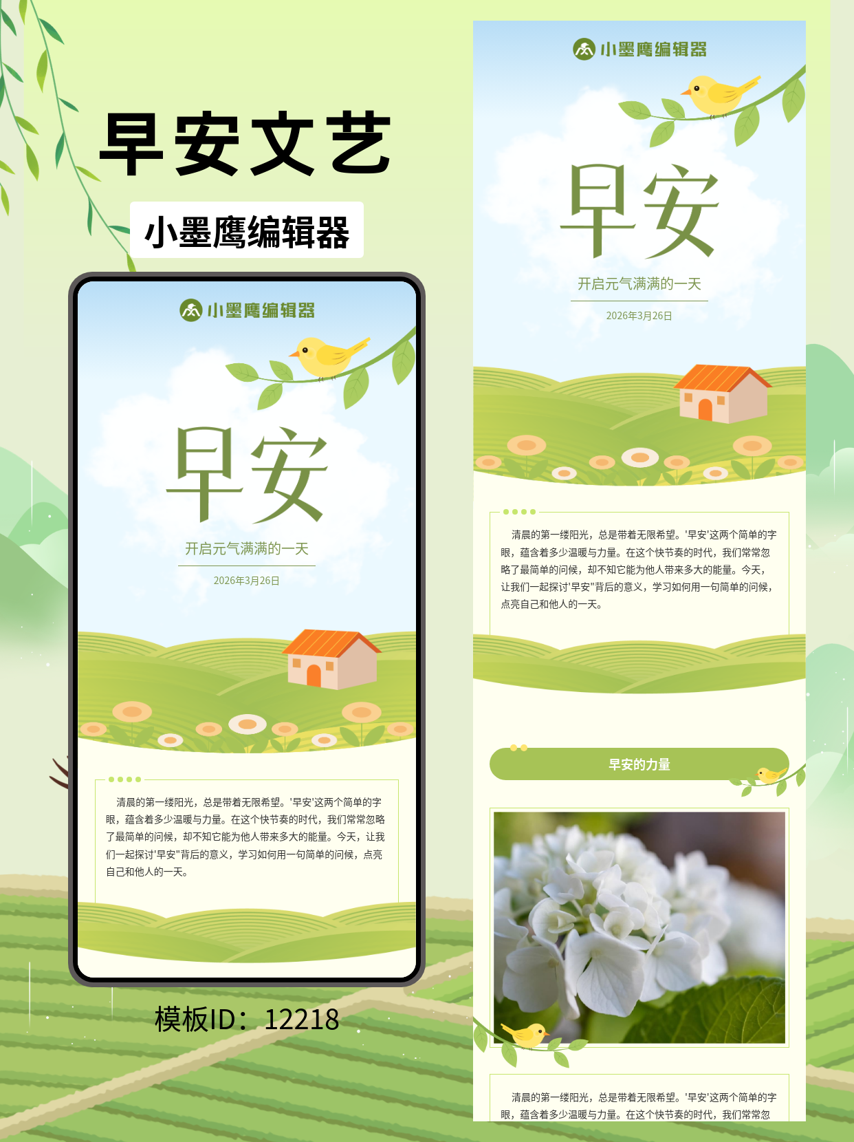 文艺早安问候公众号排版模板分享