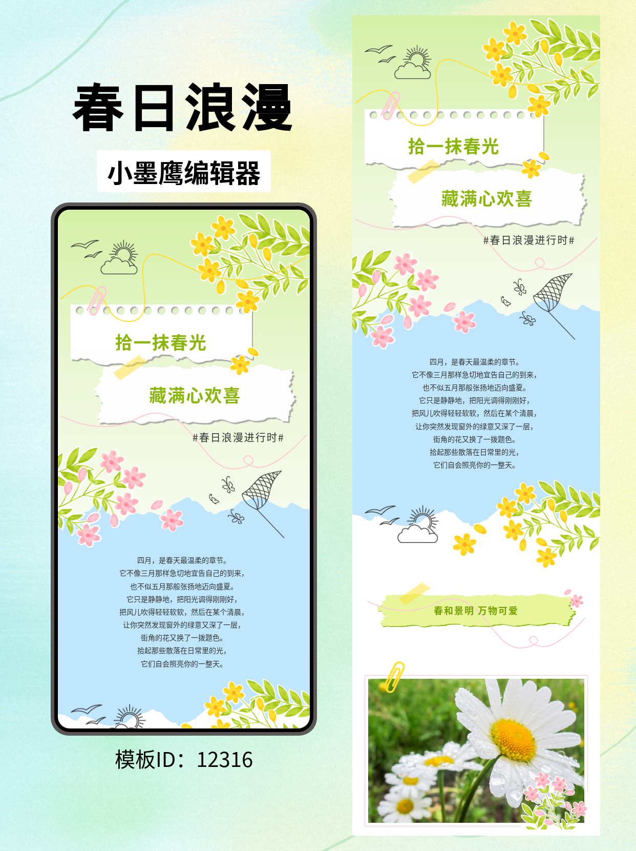 春日浪漫风公众号排版模板分享：拾一抹春光
