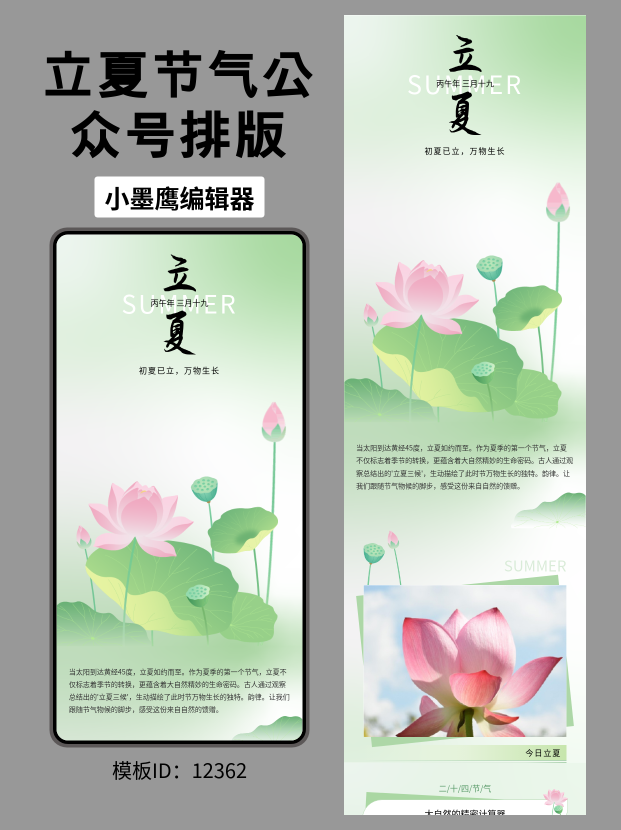 立夏时节公众号排版微信公众号编辑模版推荐：渐变荷花荷叶蜻蜓莲蓬风格
