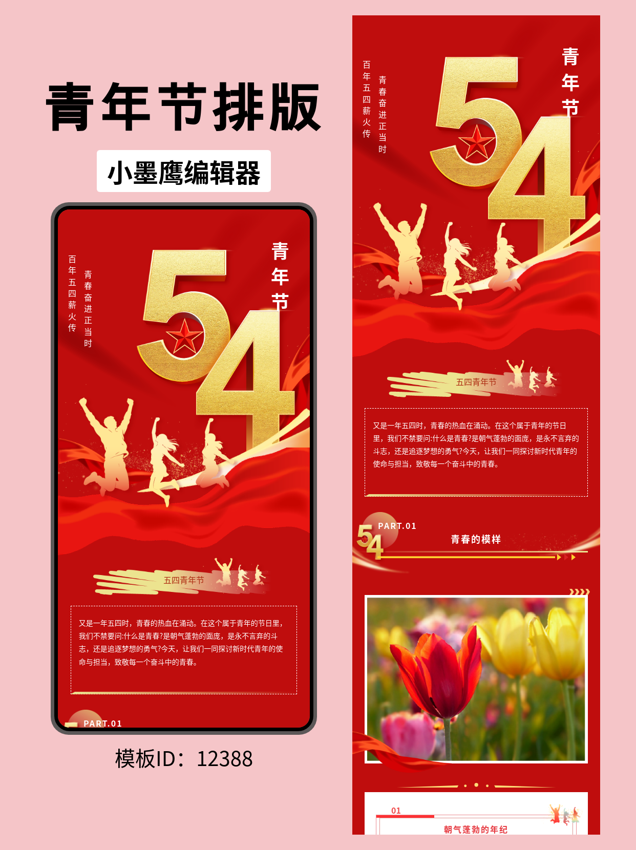 五四青年节公众号排版微信公众号模板免费分享：通用风格一键套用