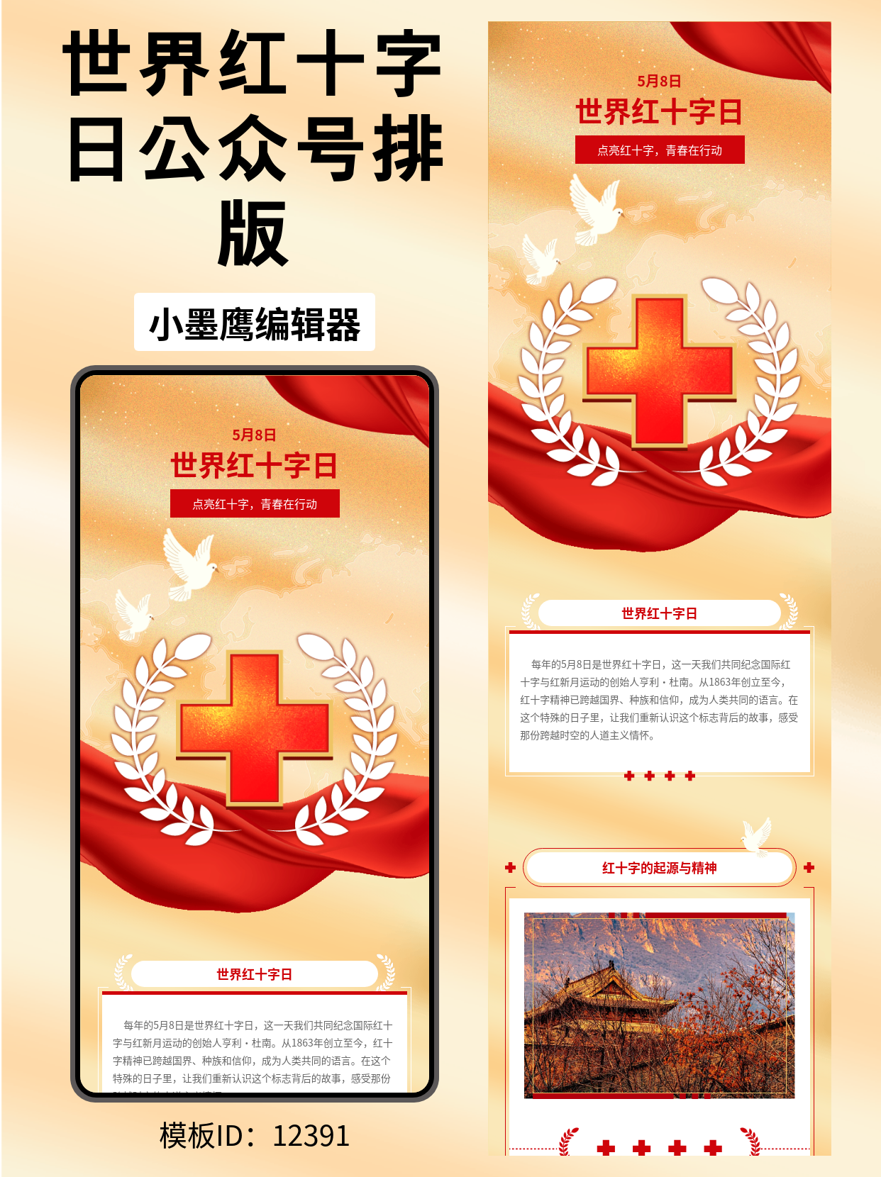 世界红十字日政务风公众号排版模板推荐