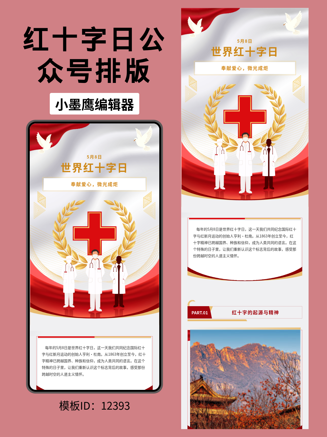 世界红十字日的公众号政务风排版模板分享