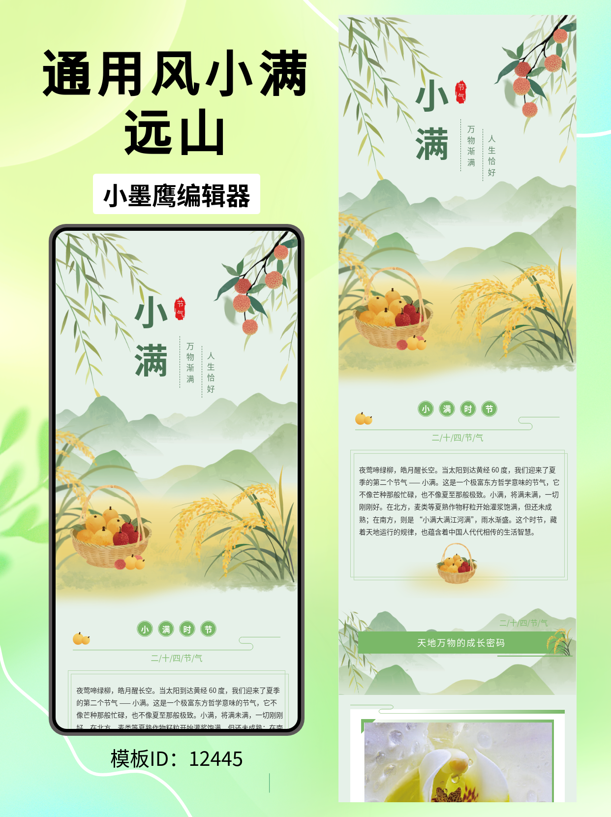 可直接套用｜小满节气通用风公众号文章排版公众号微信公众号的图文模版（远山&middot;柳叶&middot;荔枝&middot;麦穗）