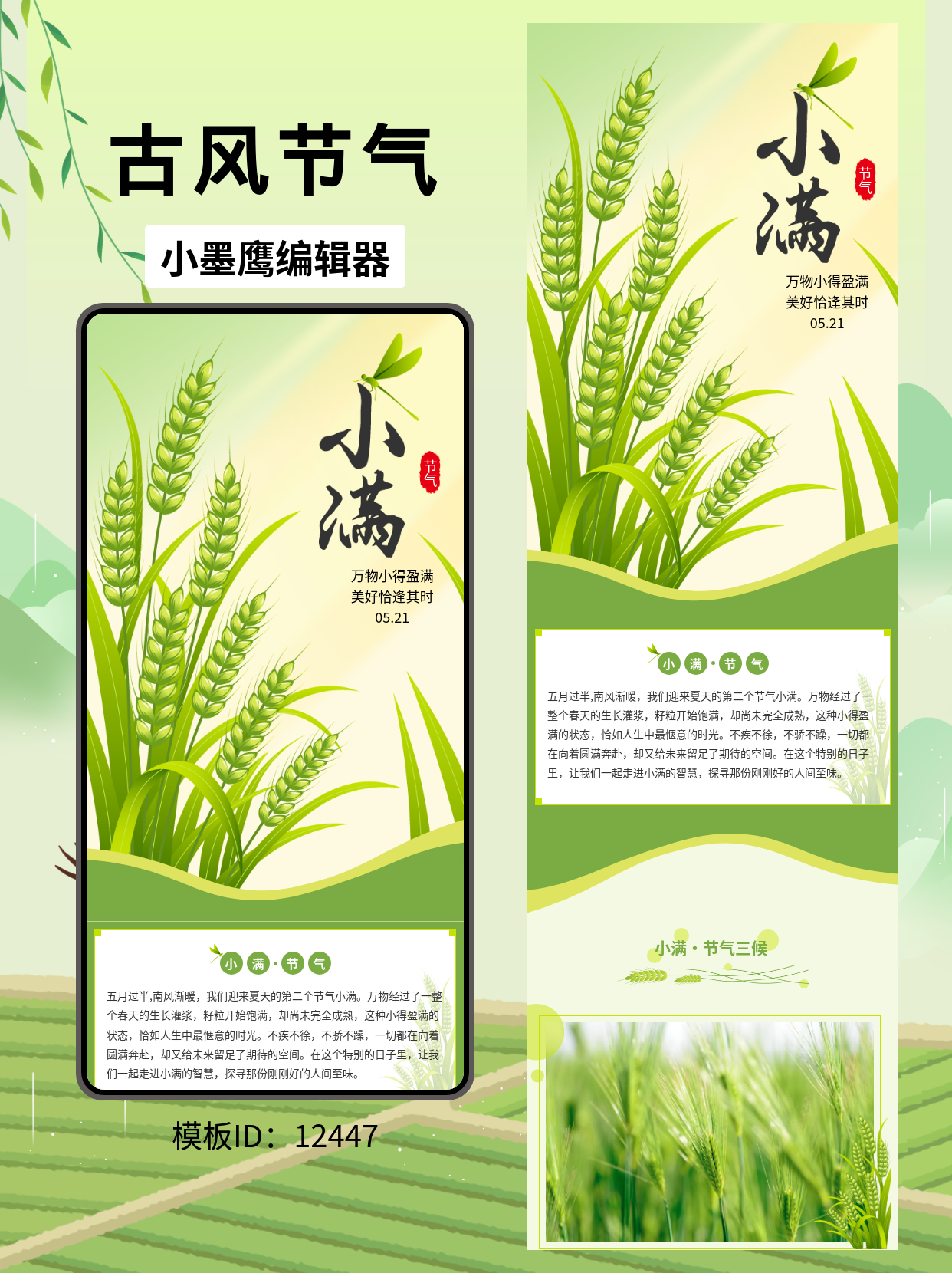 笔刷风古韵小满，这款公众号免费公众号模版一用就显高级感