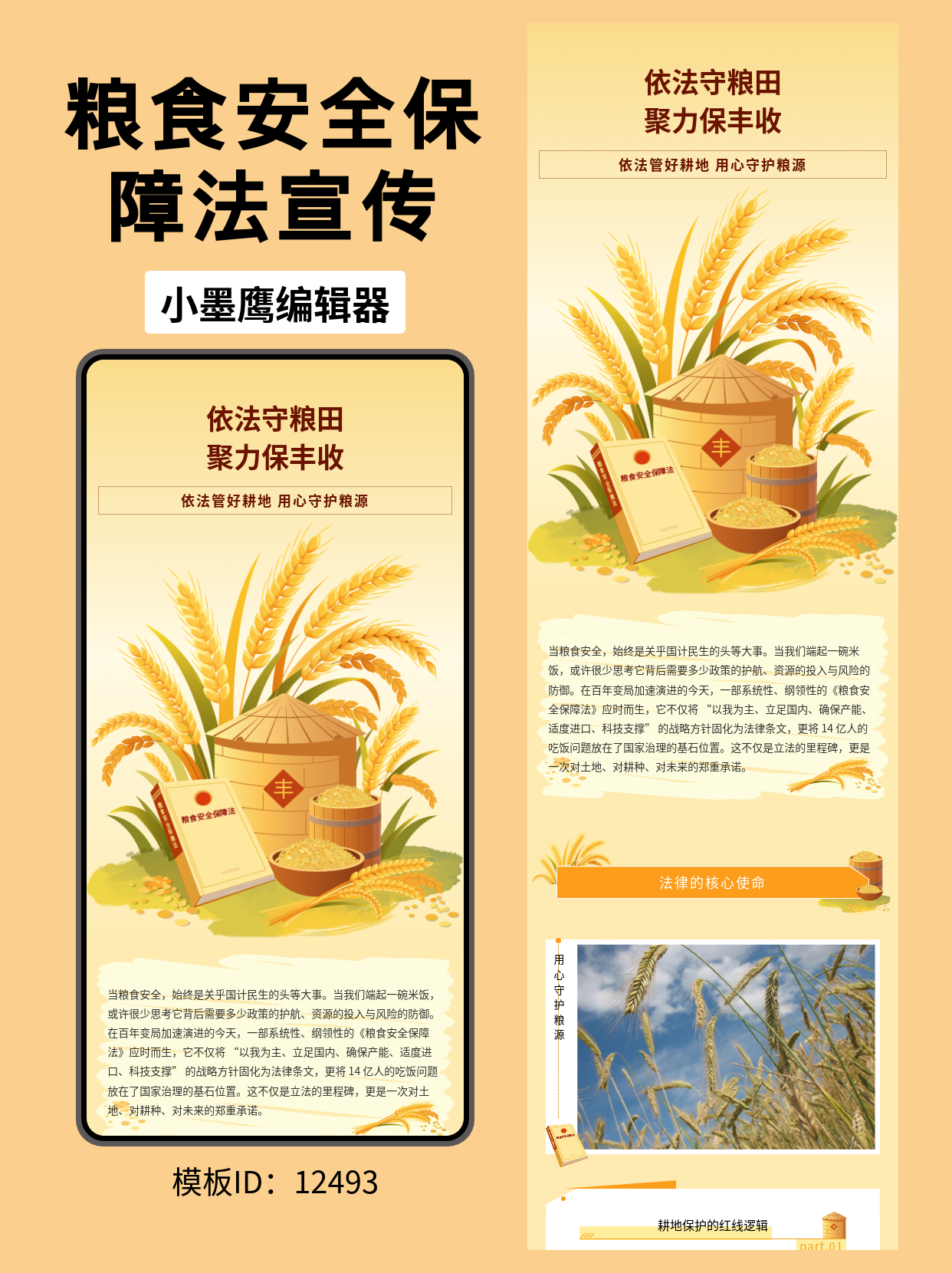 政务普法公众号排版微信编辑器免费好用的模版分享：《粮食安全保障法》（通用风｜麦穗&middot;粮仓元素）
