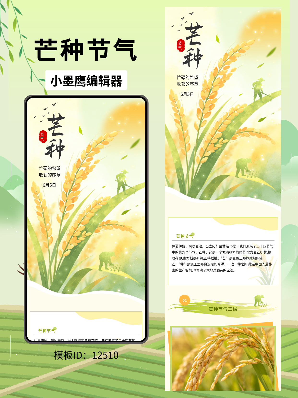 芒种主题公众号排版公众号模板免费分享｜国风笔刷&times;麦穗飞鸟&times;农忙场景，适配政务/三农/校园科普