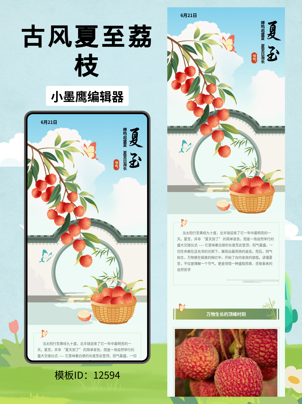 夏至文艺古风排版公众号推文模版免费分享：用这份蝉鸣果香美翻你的公众号