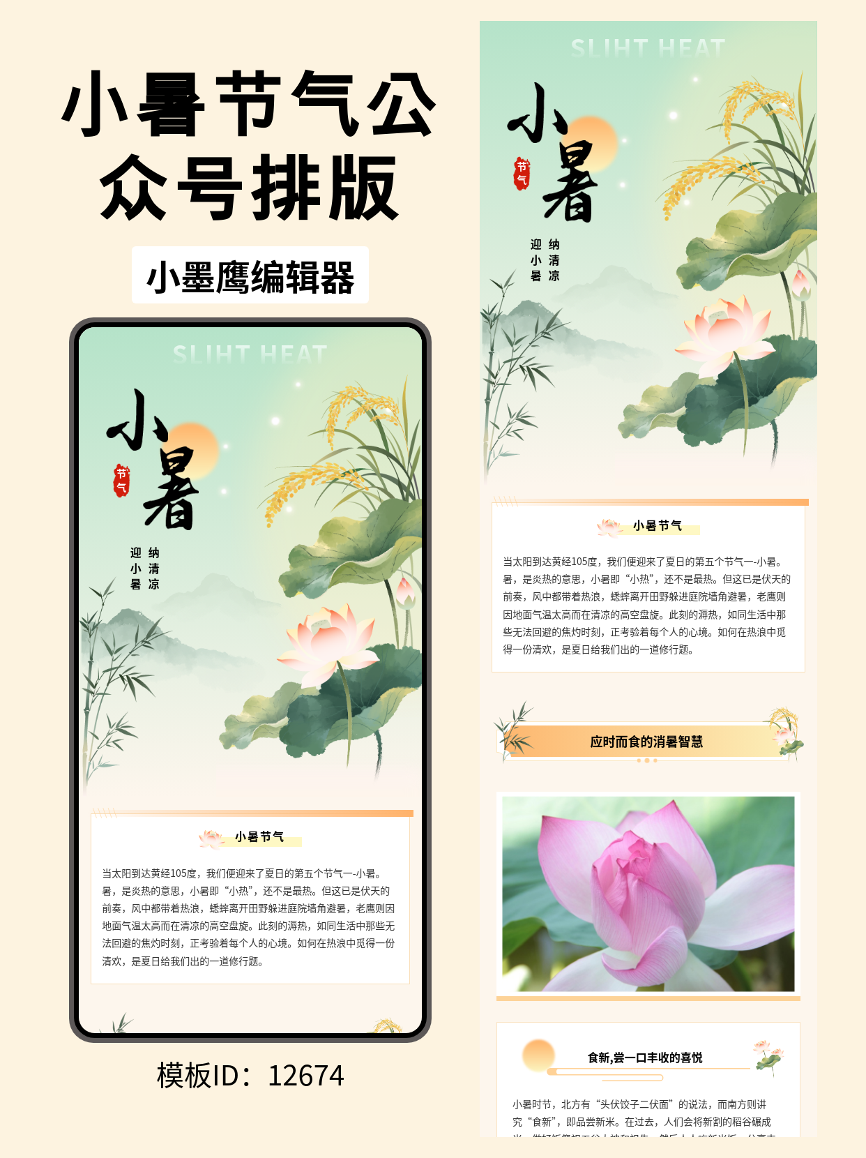 24节气&middot;小暑古风公众号排版公众号排版模版分享｜荷叶远山、荷花水稻、竹意清凉