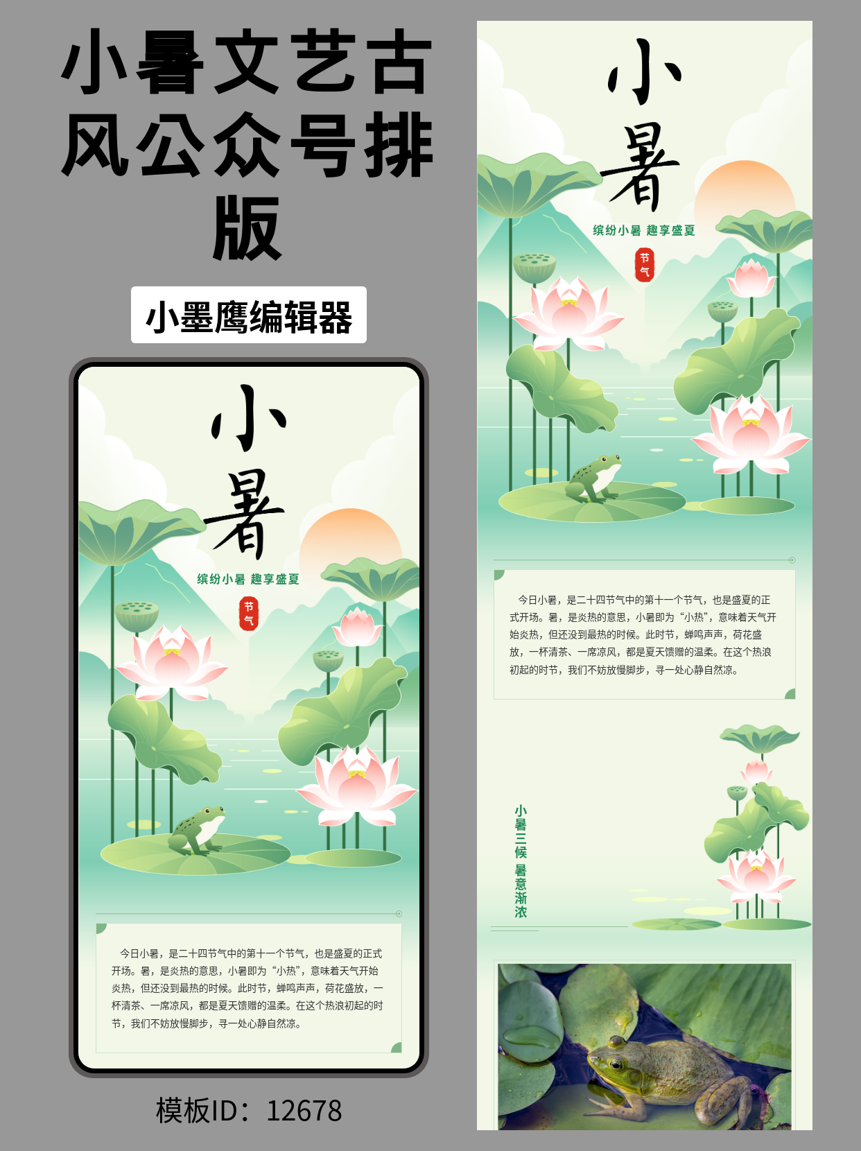 二十四节气小暑｜公众号排版免费公众号模版编辑器推荐（国风荷塘文艺系）