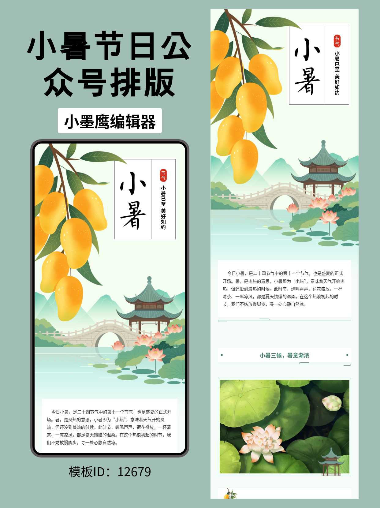古风小暑至，分享几款意境绝美的公众号排版公众号图文模版