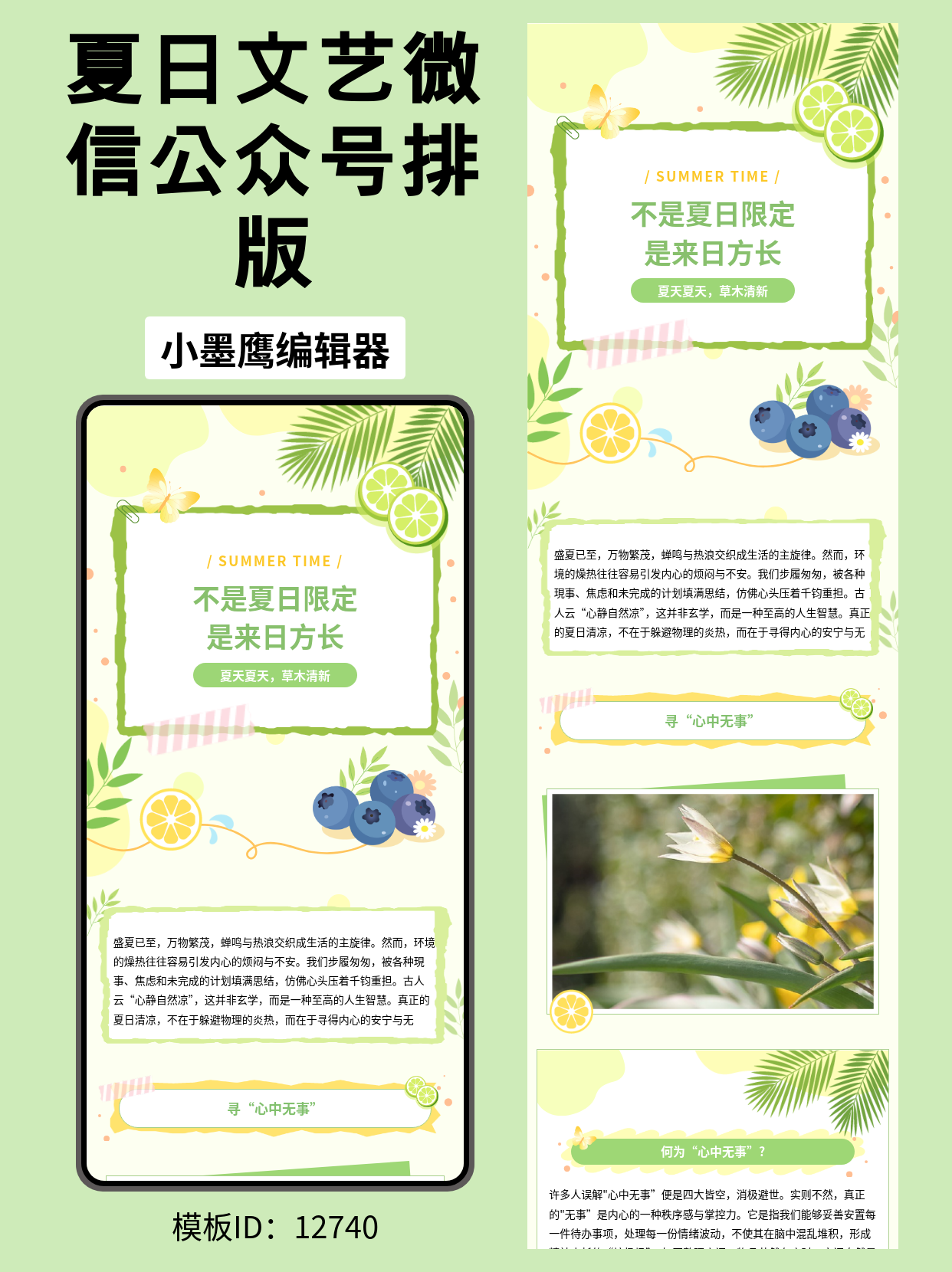 夏日文艺风公众号排版微信公众号的页面模版推荐：用&ldquo;夏天夏天，草木清新&rdquo;定格你的治愈系图文
