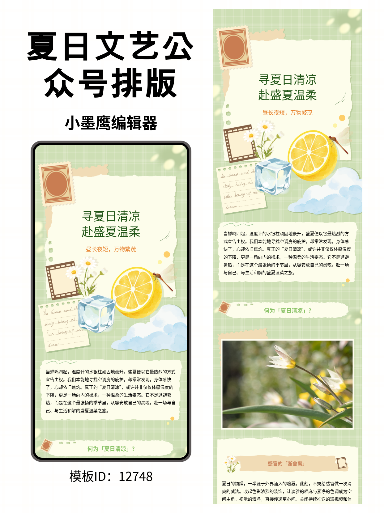 告别单调！这些文艺感爆棚的夏日公众号排版微信公众号图文模版，一眼降温