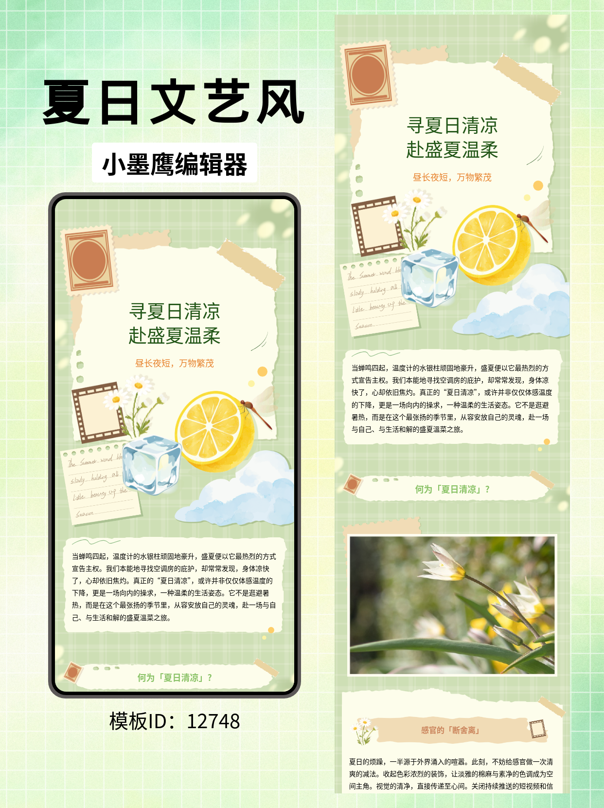夏日清凉文艺风：公众号文章排版公众号图文模版怎么用分享